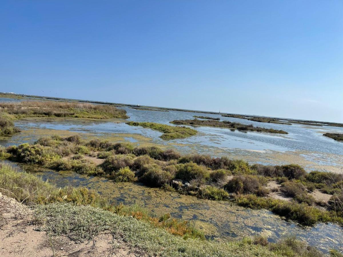 La Calma Del Delta Villa L'Eucaliptus Buitenkant foto