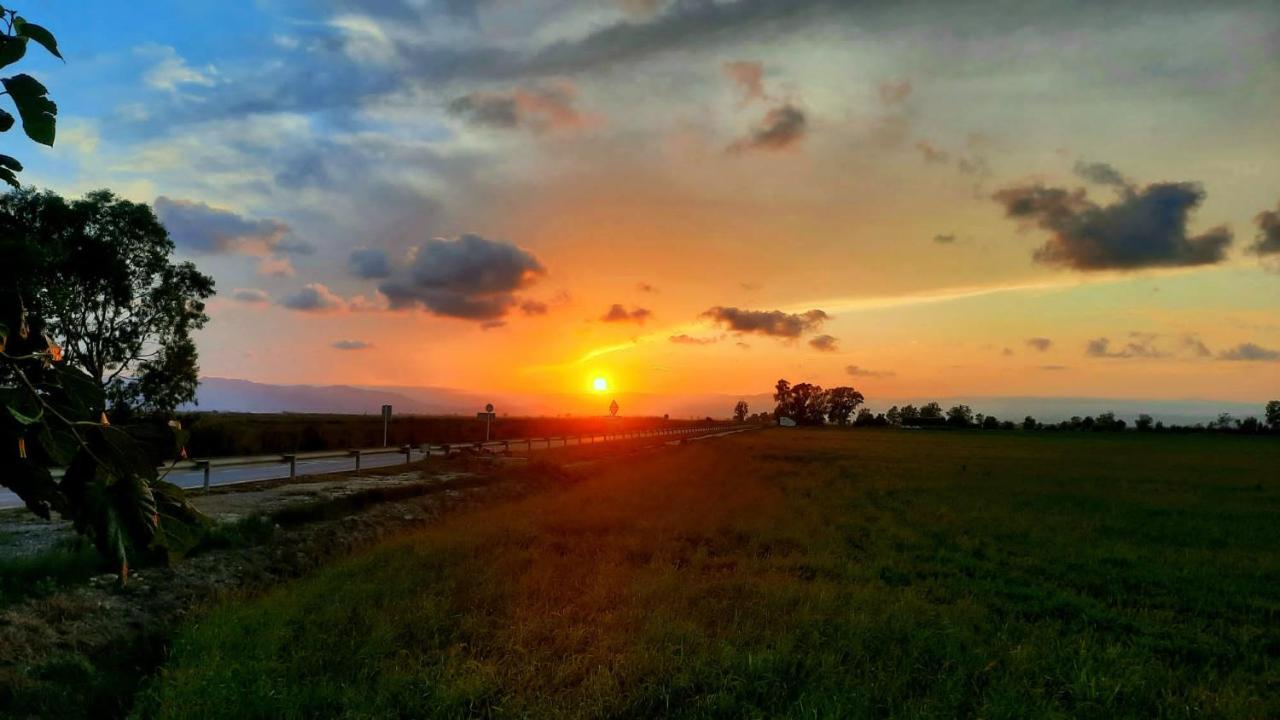 La Calma Del Delta Villa L'Eucaliptus Buitenkant foto