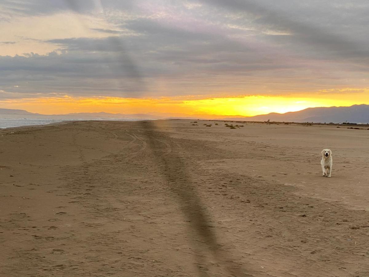 La Calma Del Delta Villa L'Eucaliptus Buitenkant foto